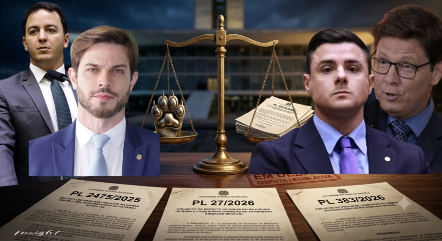 Proteção Animal em Debate, entre projetos amplos e medidas de aplicação imediata.