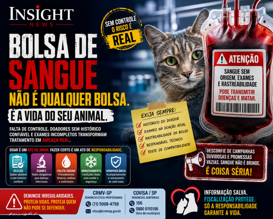 Animais de ONG não podem ser doadores de sangue