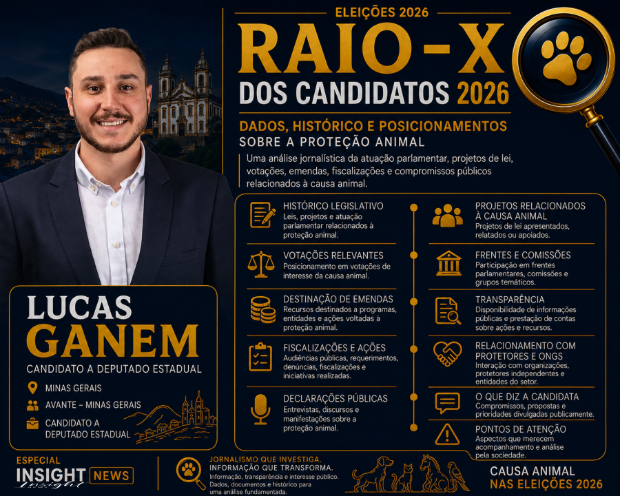 Eleições 2026: Raio-X Candidatos da Causa Animal