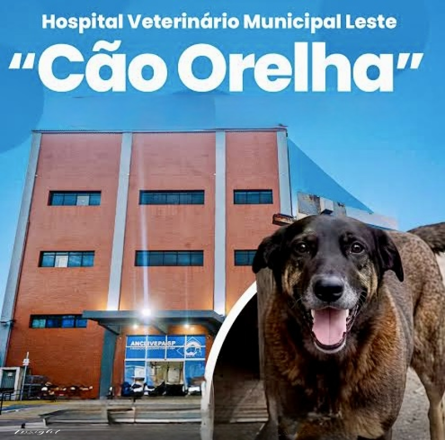 São Paulo descentraliza saúde pet